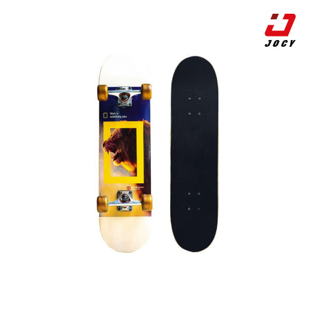 Ván Trượt Skatebroad 950-08